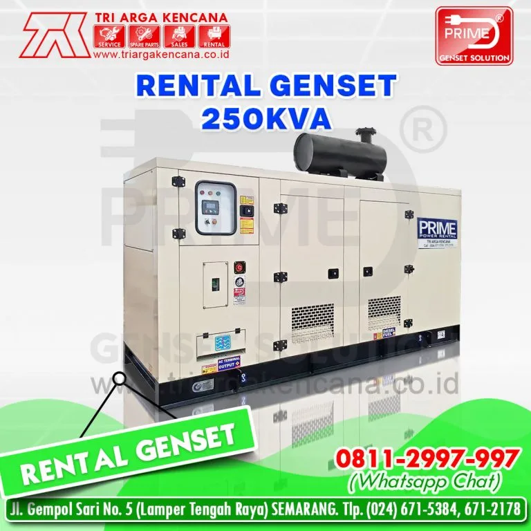RENTAL GENSET_250