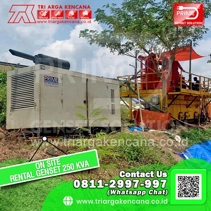 ON SITE Rental Genset 250 KVA