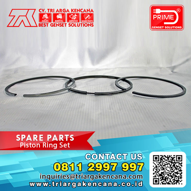 Piston Ring Set copy