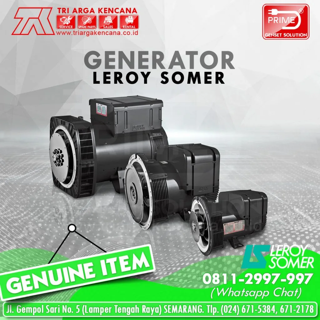 Leroy Somer Alternator
